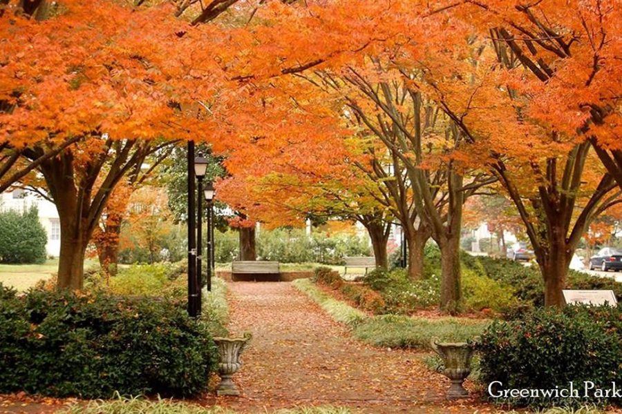3 Greenwich Park f0ca255b743ef90a04cf0bbacc92e45b