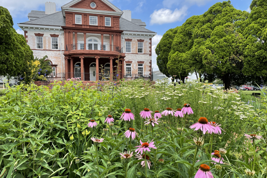 Annaburg 69520388e574f2c0a09b5b291dc87c34