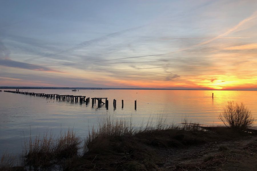 Sun 49a960a940b00e5f14d8a9a7c2a5335c Sun 49a960a940b00e5f14d8a9a7c2a5335c